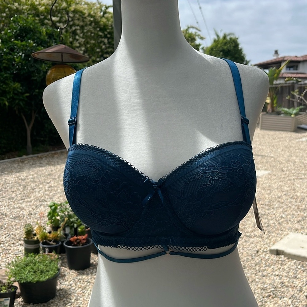 NWT Pearlle Blue Lacey Push-Up Bra Super Cute  Size 40C